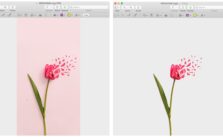 The easiest way to remove the background from an image on macOS