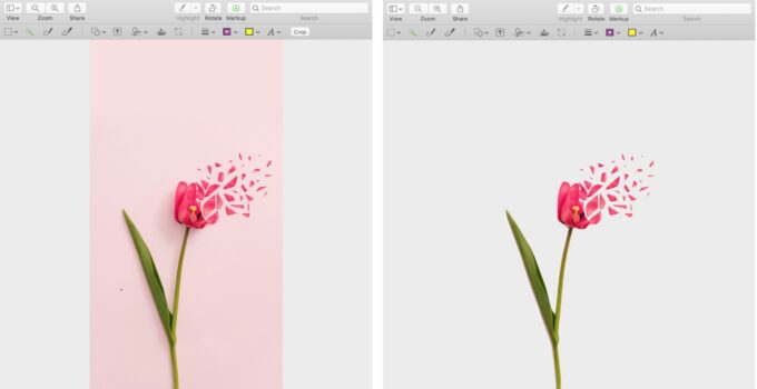 The easiest way to remove the background from an image on macOS